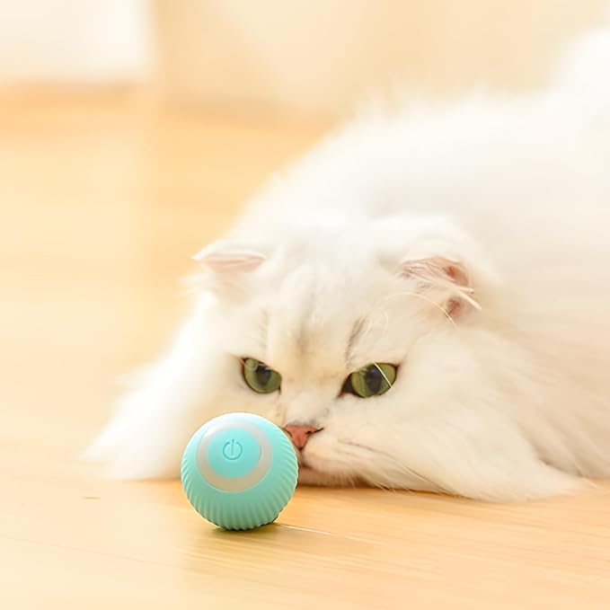 Auto Rolling Cat Ball — USB Rechargeable Interactive Toy