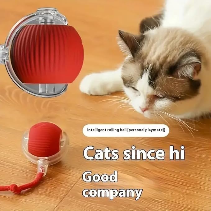 Smart Rolling Pet Ball — 3-Mode Interactive Cat & Dog Toy