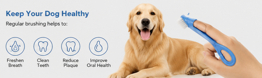 Dog Toothbrush — Soft Finger Brush for Pet Dental Care
