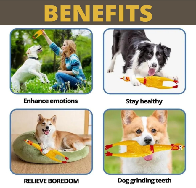 Silicone Chew Toy for Pet — Squeaky Chicken